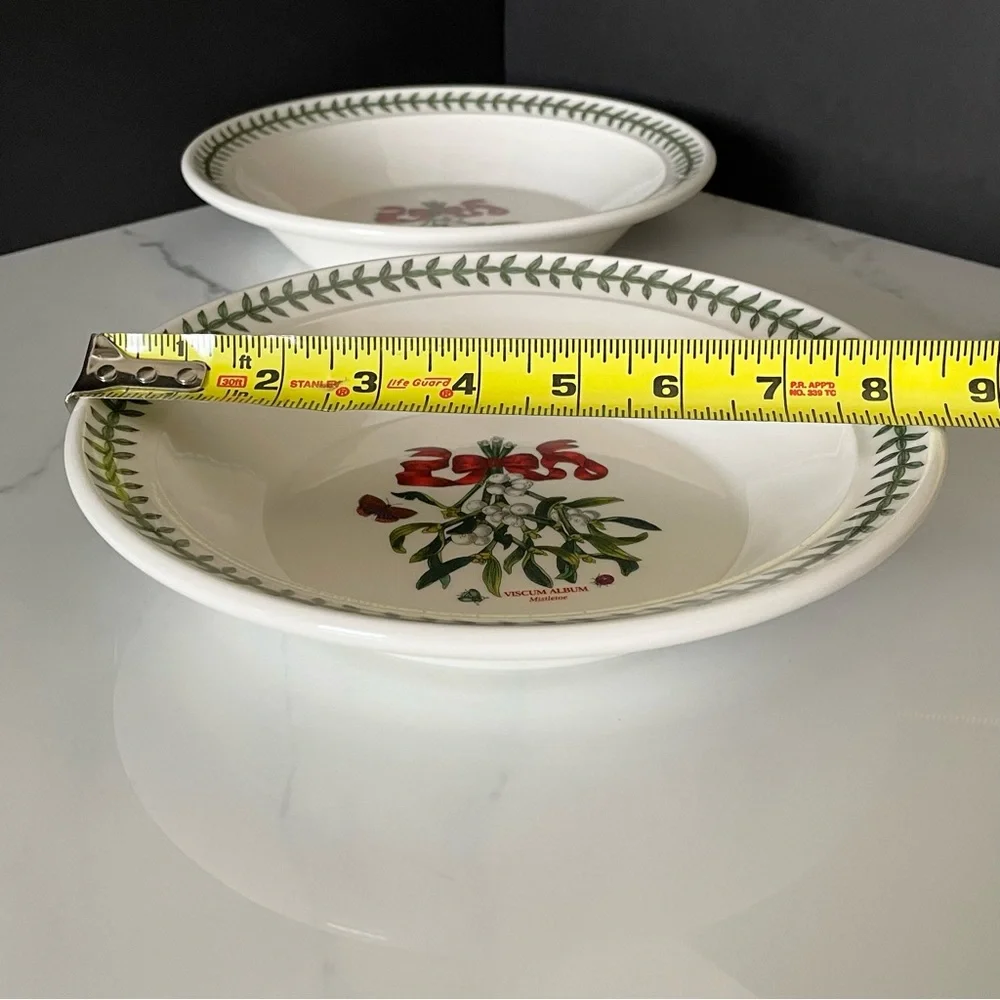 SET of 2 Mistletoe Pasta or Soup Bowls by Portmeirion